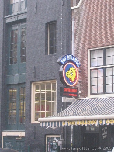 Amsterdam CoffeShop Bulldog