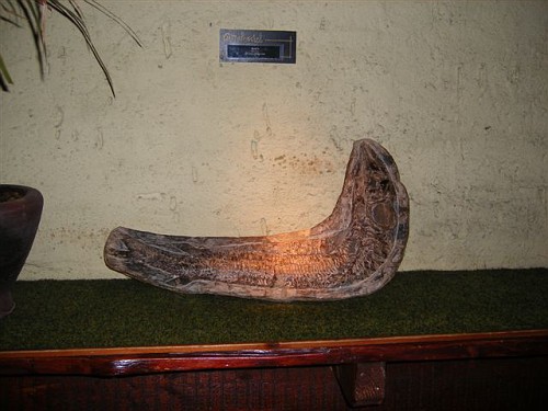 Giethoorn De Oude Aarde Museum - Fossili Cristalli Boomerang